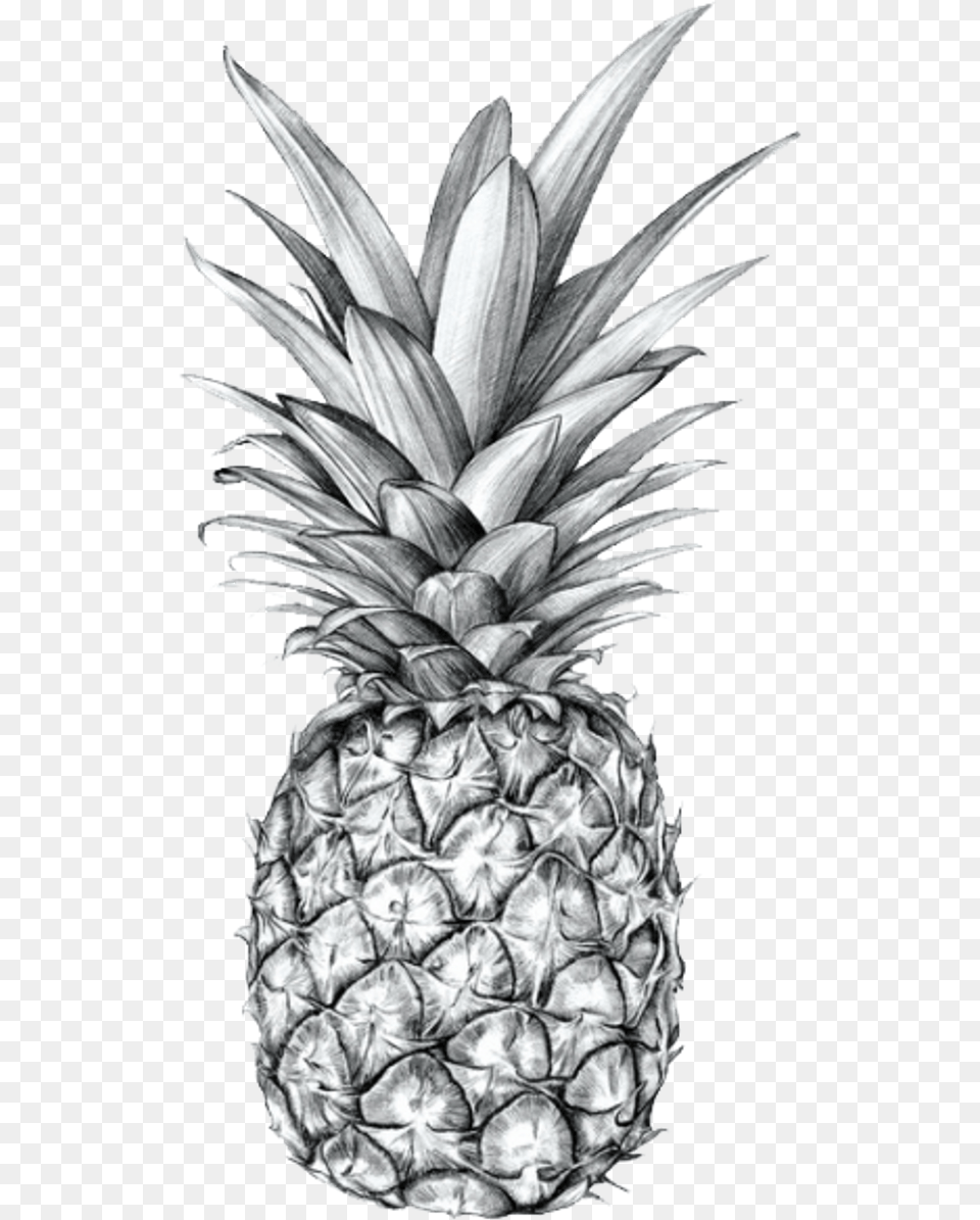 Tumblr Blackandwhite Pineapple Fruit Aesthetic Black Transparent Pineapple, Food, Plant, Produce Png Image