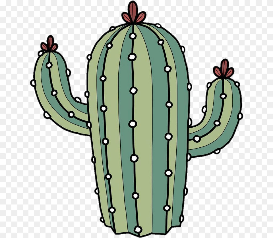 Tumblr Cactus Sticker Stickers Cactus, Plant Free Transparent Png