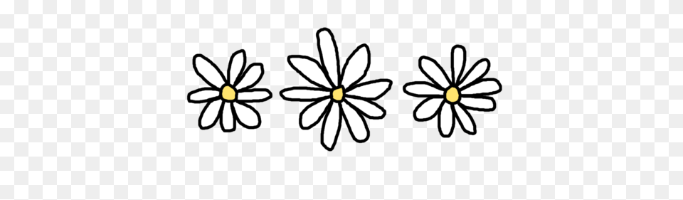 Tumblr Clipart Clip Art Images, Daisy, Flower, Plant, Anther Png Image