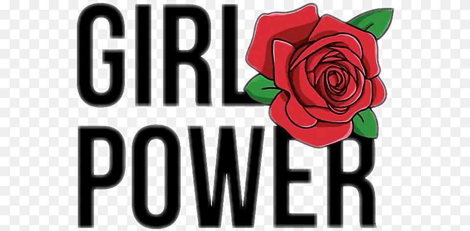 Tumblr Collage Stickers Girl Power Em, Flower, Plant, Rose Png