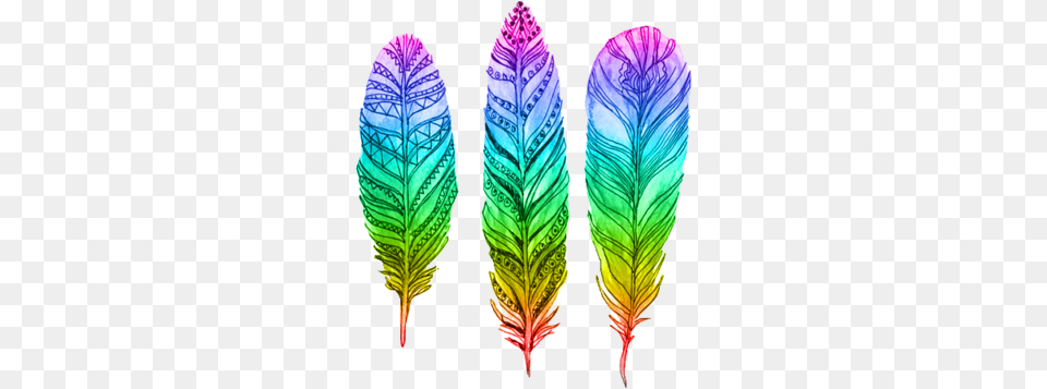 Tumblr Colorful Bohemian Neon Colour Feather Drawing, Leaf, Plant, Vegetation, Flower Free Png