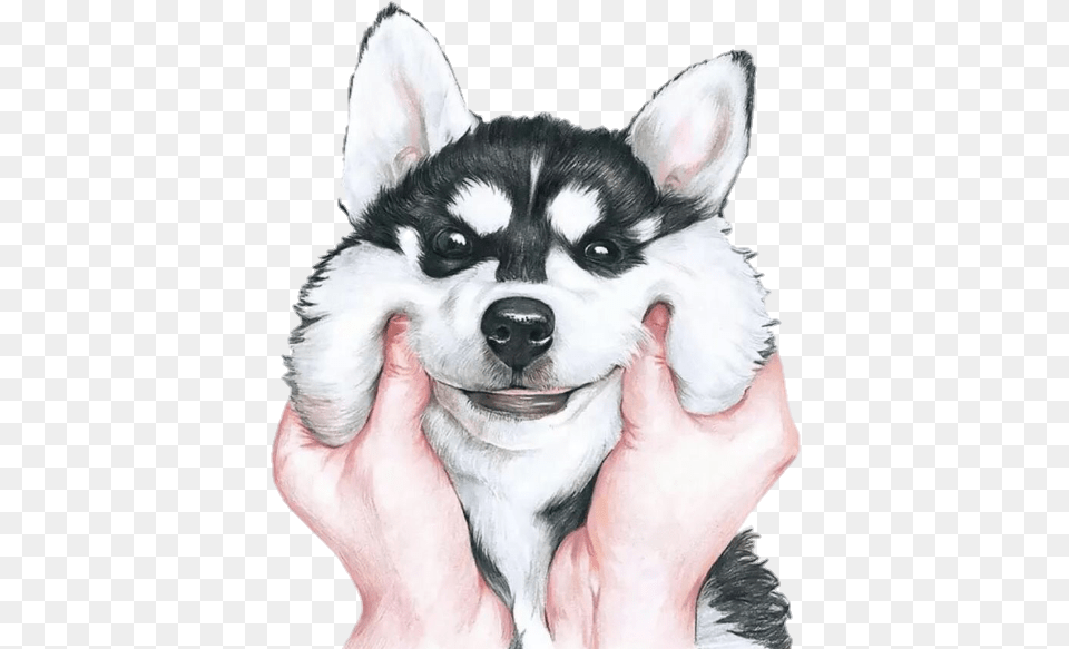 Tumblr Dog Cachorro Anime Cute Fondo De Pantalla De Husky, Animal, Pet, Mammal, Canine Png Image