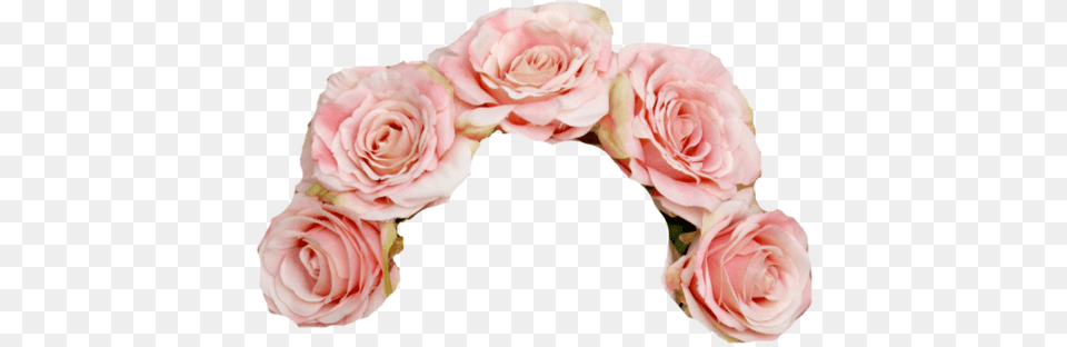 Tumblr Flower Crown Image Pink Flower Crown, Arch, Architecture, Plant, Rose Free Png Download