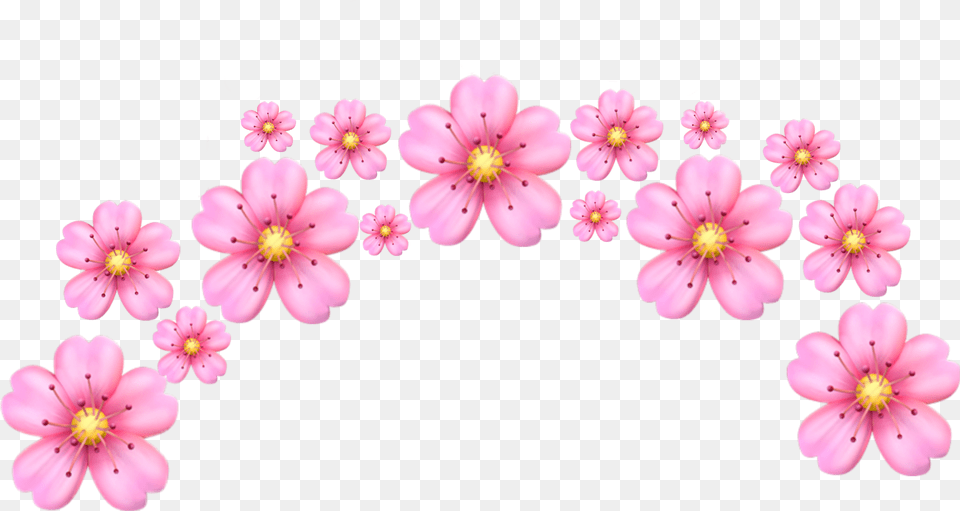 Tumblr Flower Pink Emoji Flower Crown, Petal, Plant, Anther, Accessories Png Image