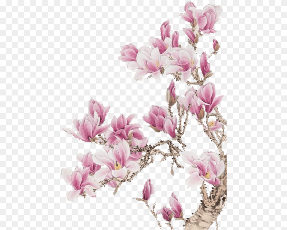 Tumblr Flower Transparent Flower Gif Transparent Philippians 2 Mind Of Christ, Petal, Plant, Flower Arrangement, Cherry Blossom Free Png Download