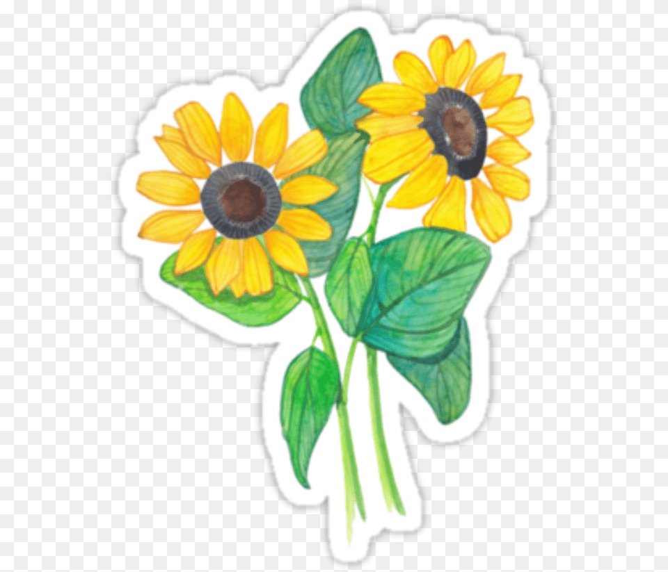 Tumblr Flowers Sticker Picsart Transparent Tumblr Stickers, Flower, Plant, Sunflower, Daisy Png