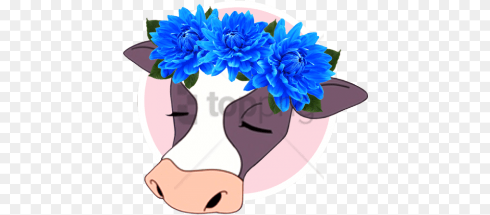 Tumblr Flowers U2013 Bunga Matahari, Flower, Plant, Animal, Cattle Free Transparent Png