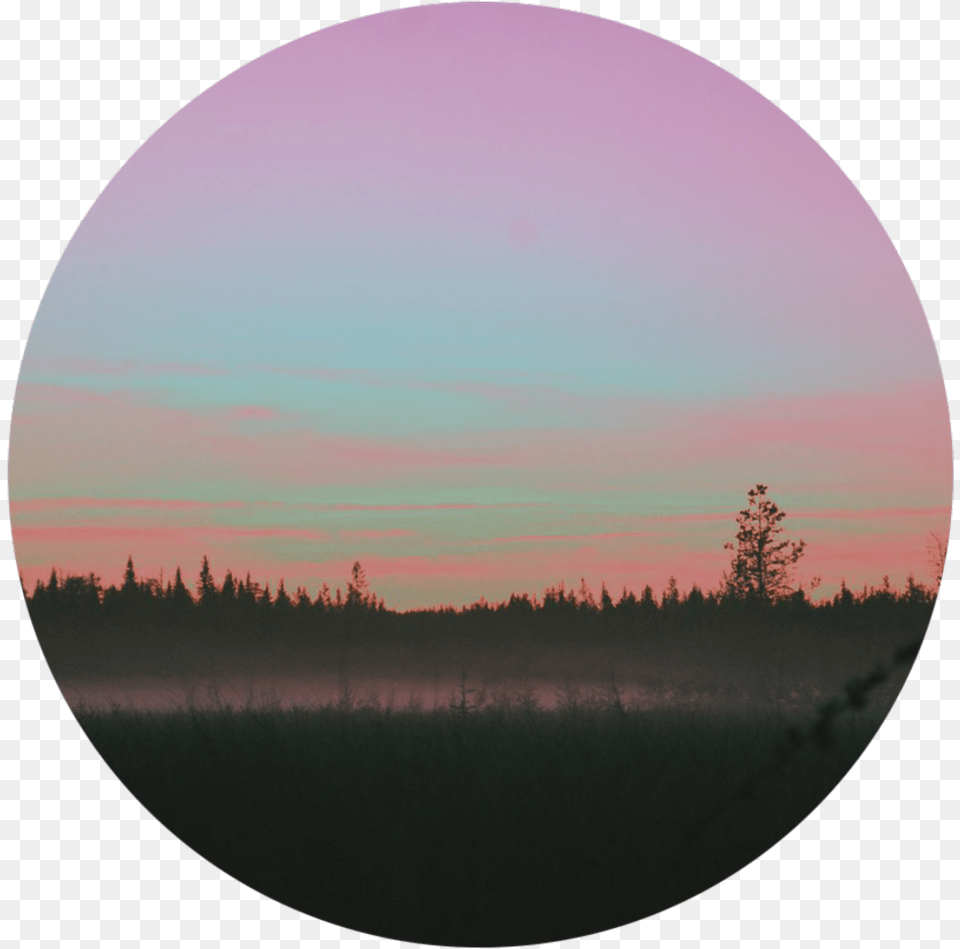 Tumblr Forest Nature Circle Sunset Tumblr, Outdoors, Photography, Sky, Tree Png Image