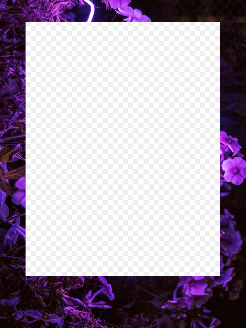Tumblr Frame Download Clipart With A Rose, Flower, Plant, Purple, Geranium Free Transparent Png