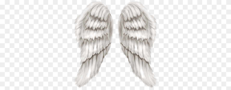 Tumblr Inline Mpox14pgyr1qz4rgp Angel Wings, Animal, Bird Free Png