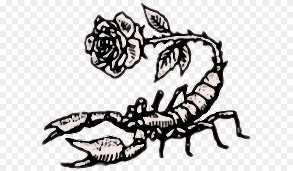Tumblr Rose Rock Scorpion Aesthetic Retro Flower Art, Animal Png