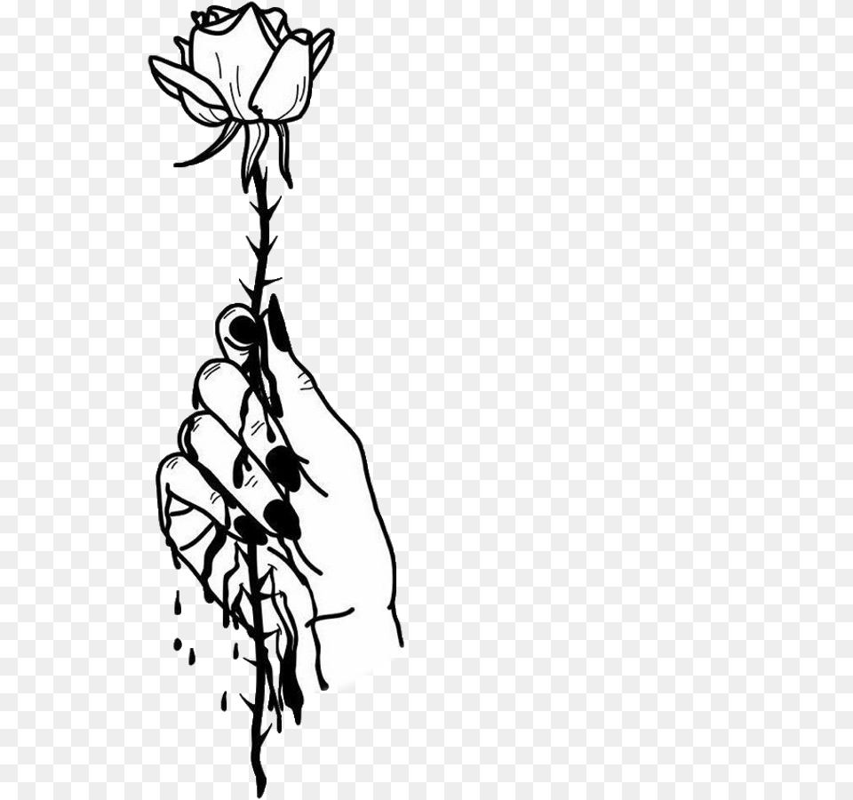 Tumblr Rose Tumblr Arm Arms Rose Roses Flower Flowers Every Rose Has Its Thorn Art, Body Part, Hand, Person, Adult Free Png Download
