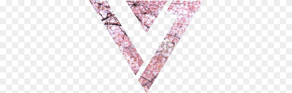Tumblr Shared Background Seventeen Symbol Kpop, Flower, Plant Free Png