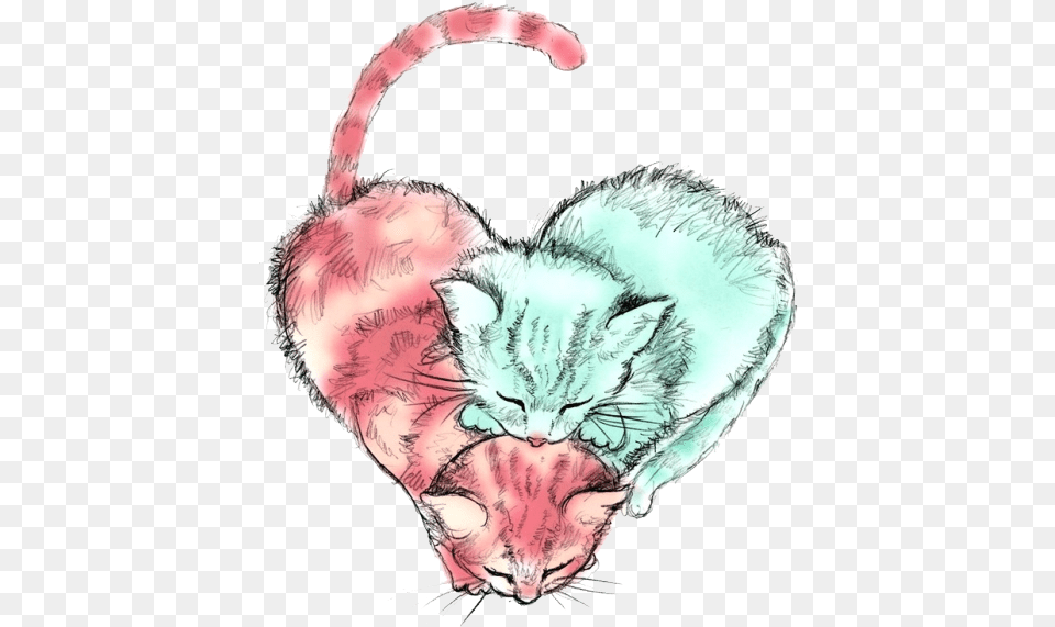 Tumblr Ship 3 Cute Cat Drawing Free Transparent Png