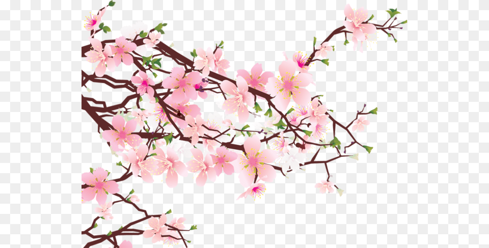 Tumblr Static 640 V2 Doa Menjadi Orang Beriman, Flower, Plant, Cherry Blossom Png Image