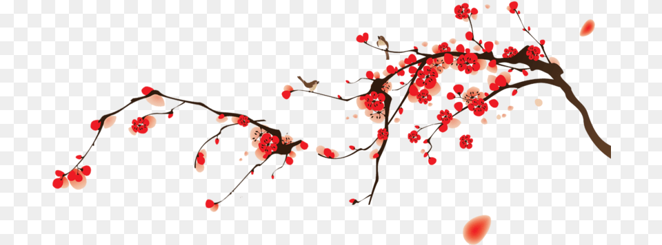 Tumblr Static Cherry Blossoms, Flower, Plant, Petal, Food Free Png