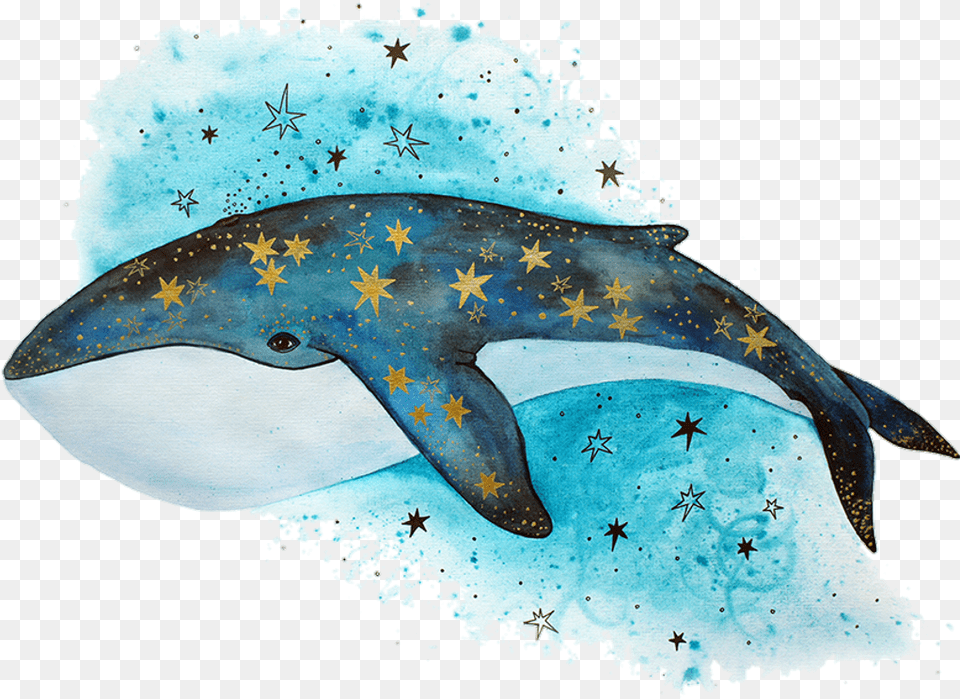 Tumblr Sticker Kit Risunok, Animal, Mammal, Sea Life, Whale Png Image