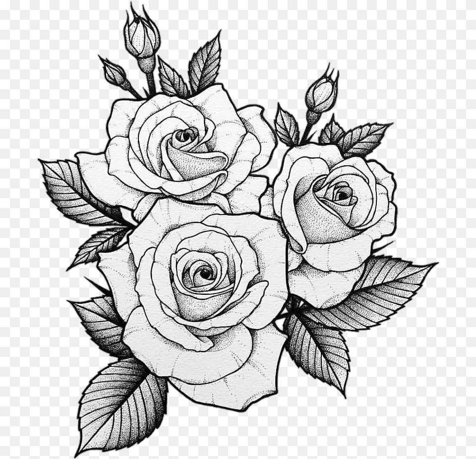 Tumblr Tatto Roses Roses Tattoo Design, Art, Drawing, Flower, Plant Png Image