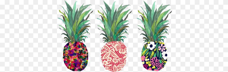 Tumblr Transparent Donut Pineapple Desktop Backgrounds, Food, Fruit, Plant, Produce Png Image