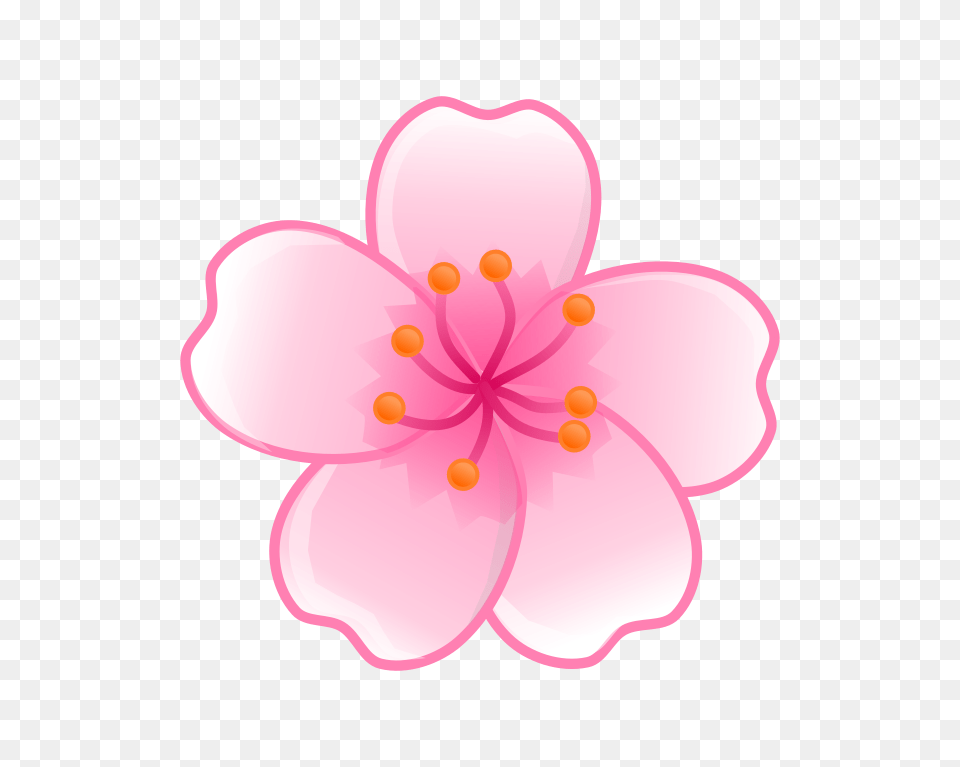 Tumblr Transparent Flower Drawing, Plant, Petal, Cherry Blossom Png Image