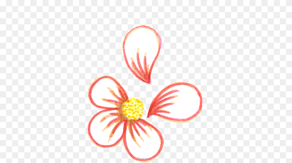 Tumblr Transparent Flower Drawing Dot, Anther, Petal, Plant, Pollen Png