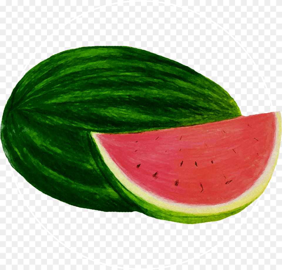 Tumblr Watermelon, Food, Fruit, Plant, Produce Free Transparent Png