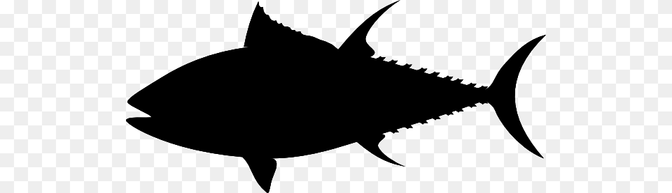 Tuna Clip Art, Animal, Fish, Sea Life, Shark Png Image