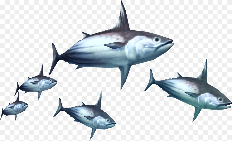 Tuna Clipart Fish Meat Monster Hunter Tri Monster, Animal, Bonito, Sea Life, Shark Png Image