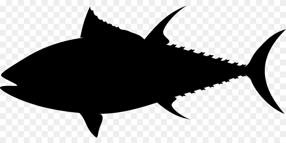 Tuna Clipart Tuna Fish, Gray Png