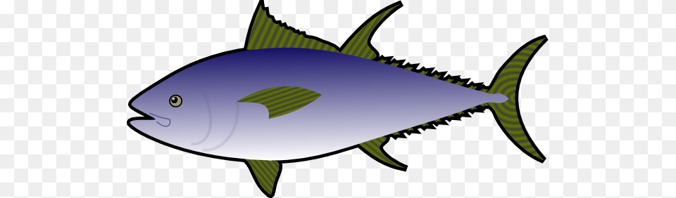 Tuna Fish Clip Art, Animal, Bonito, Sea Life, Shark Free Png