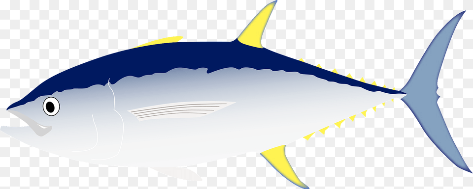 Tuna Fish Clipart, Animal, Bonito, Sea Life, Shark Free Transparent Png