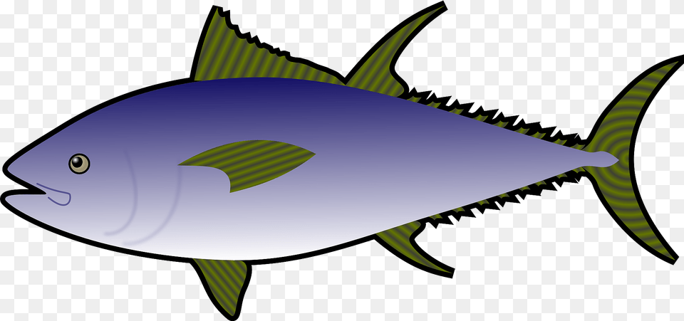 Tuna Fish Clipart, Animal, Bonito, Sea Life, Shark Free Png