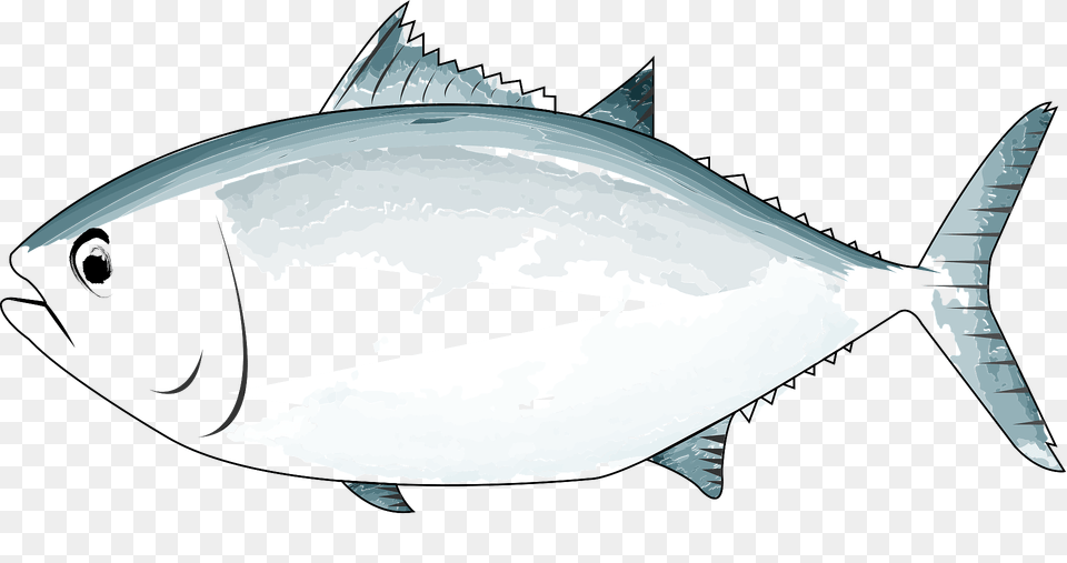 Tuna Fish Clipart, Animal, Bonito, Sea Life, Shark Free Png Download