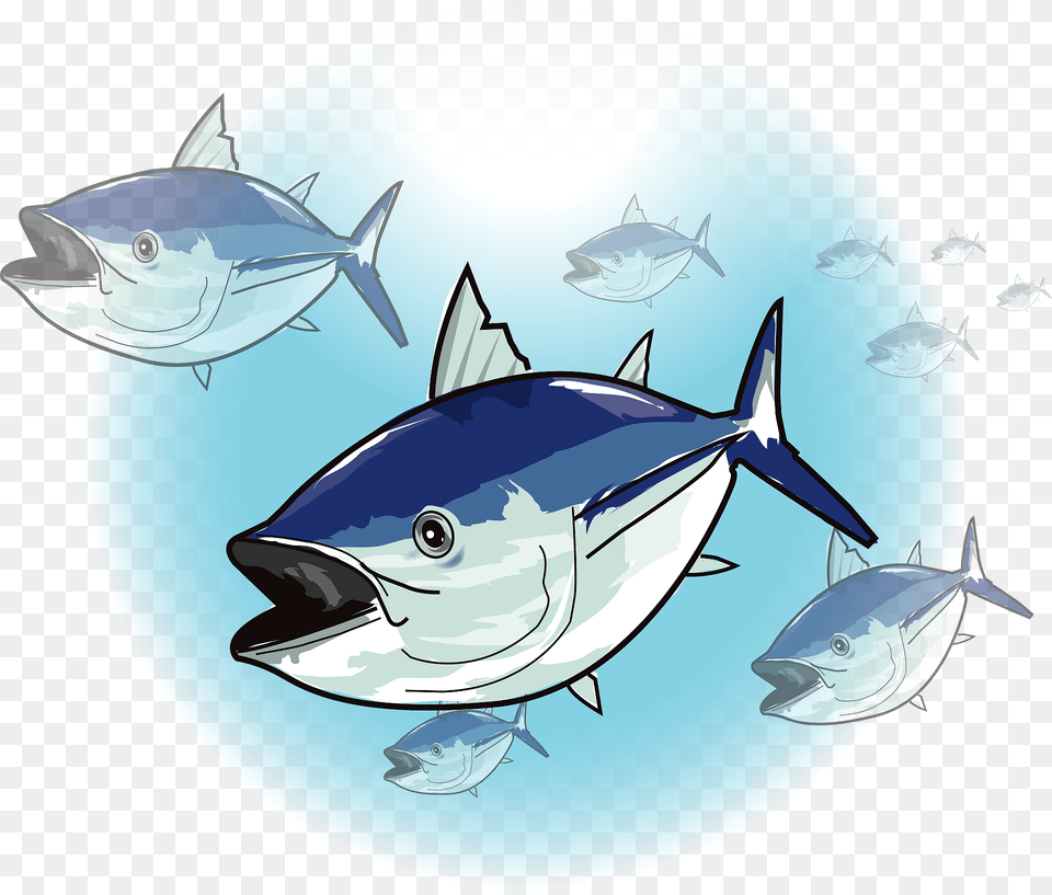 Tuna Fish Clipart, Animal, Sea Life, Bonito, Shark Free Transparent Png