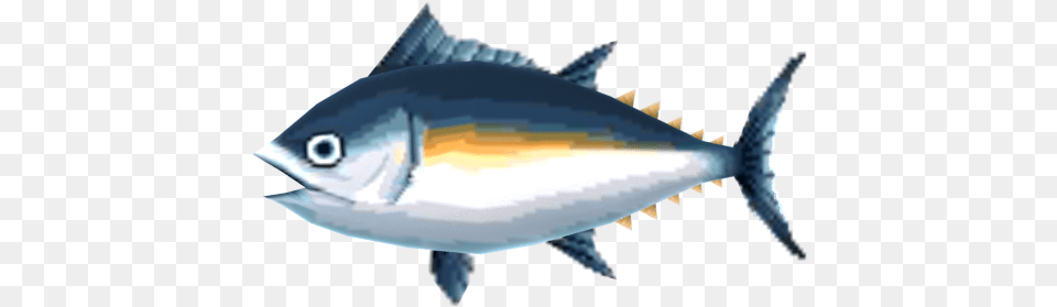 Tuna Fish Fish Animal Crossing, Sea Life, Bonito, Shark Free Png Download