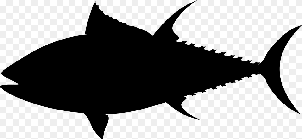 Tuna Fish Silhouette Black Image Tuna Fish Silhouette, Gray Free Png Download