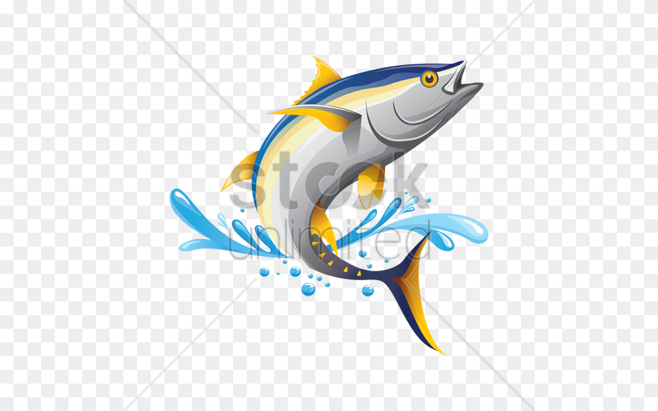 Tuna Fish Vector Animal, Sea Life Png Image