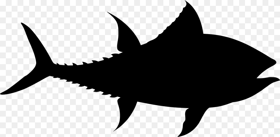 Tuna Silhouette, Animal, Fish, Sea Life, Shark Png Image