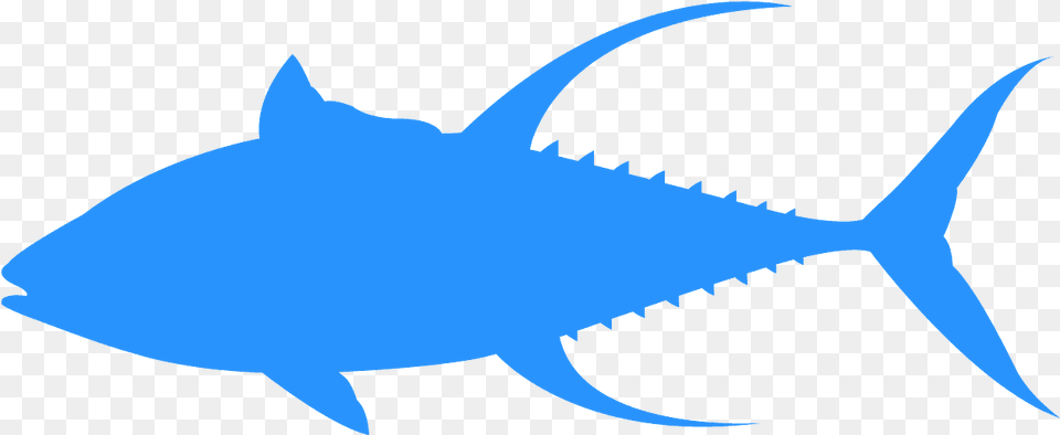 Tuna Silhouette, Animal, Fish, Sea Life, Shark Png