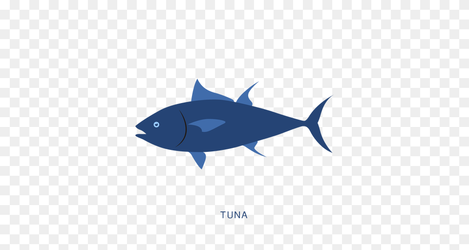 Tuna Tuna Images, Animal, Bonito, Fish, Sea Life Png Image
