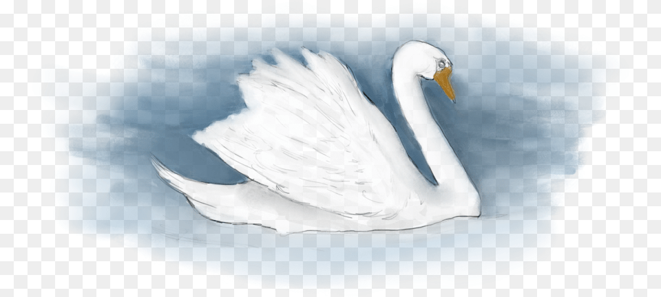 Tundra Swan, Animal, Bird Free Png