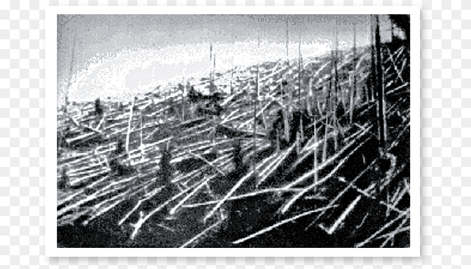 Tunguska Event, Construction, Wood, Scaffolding, Plant Free Png