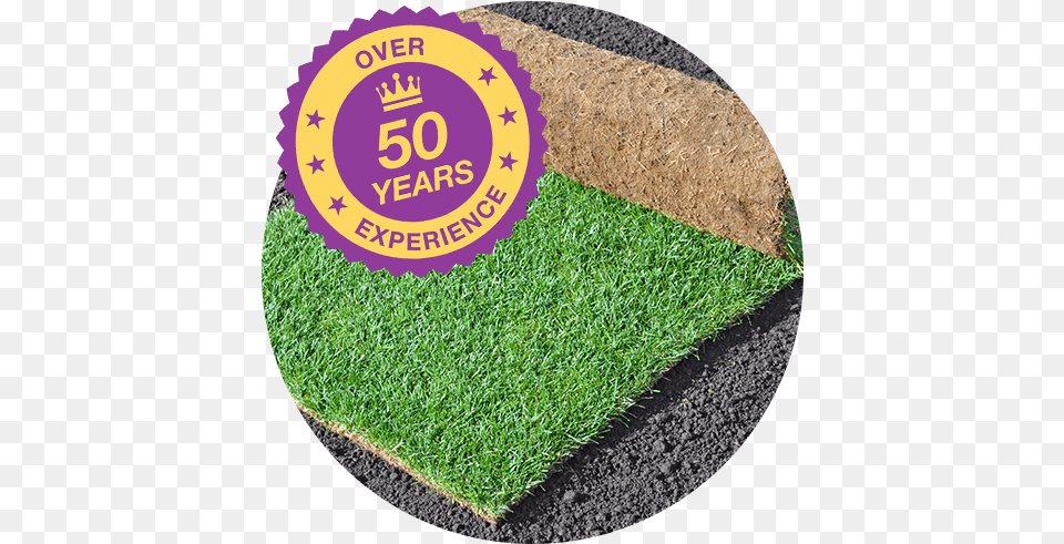 Turf Online Lawn, Grass, Plant, Soil, Road Free Png Download
