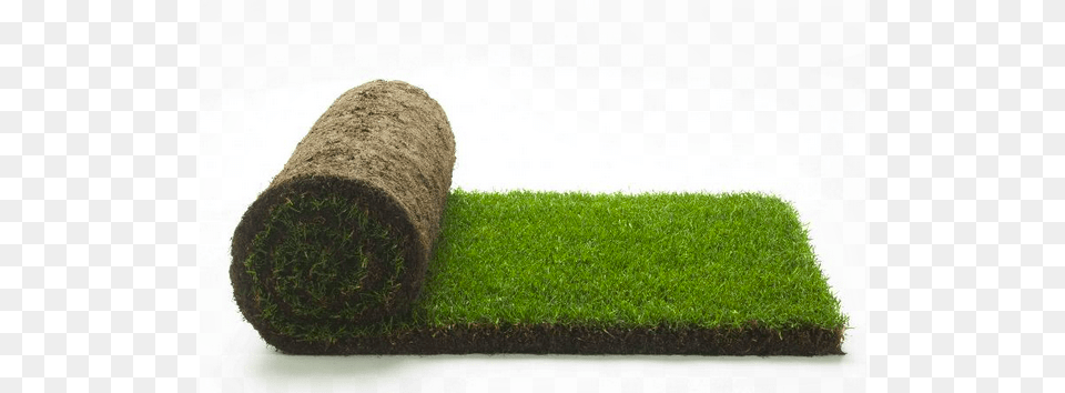 Turf Price Range Guide Roll Of Turf, Grass, Moss, Plant, Lawn Free Transparent Png