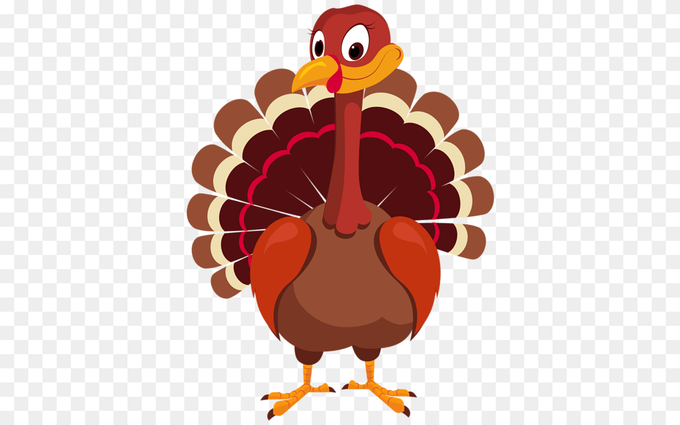 Turkey, Animal, Beak, Bird, Fowl Free Transparent Png