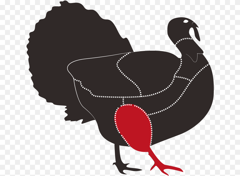Turkey, Adult, Female, Person, Woman Free Transparent Png