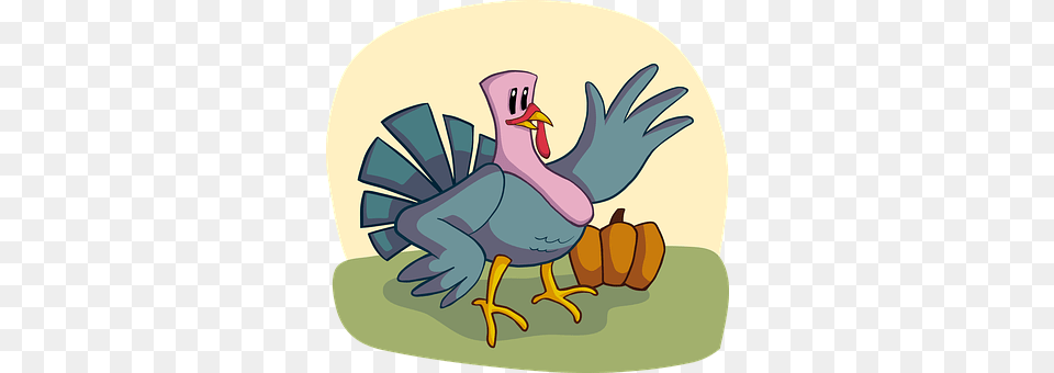 Turkey Animal, Bird Free Png Download