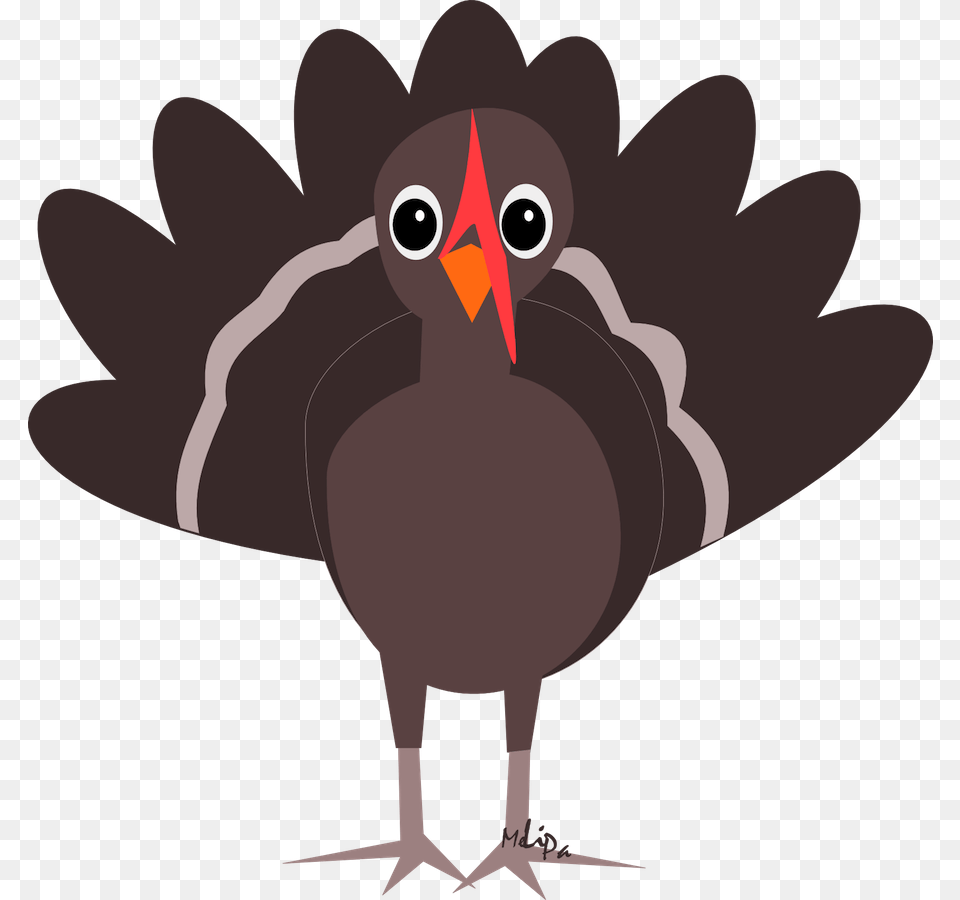 Turkey, Animal, Beak, Bird, Blackbird Png Image