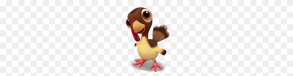 Turkey, Animal, Beak, Bird, Baby Png