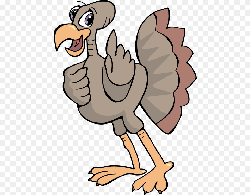 Turkey, Animal, Bird, Baby, Person Free Transparent Png